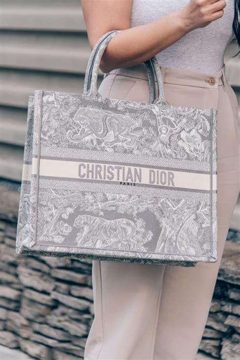 christian dior book tote dupe|christian dior bag copy.